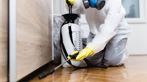 Best Indoor Pest Control  in St Bonifacius, MN